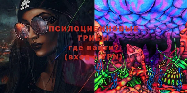 экстази Бородино