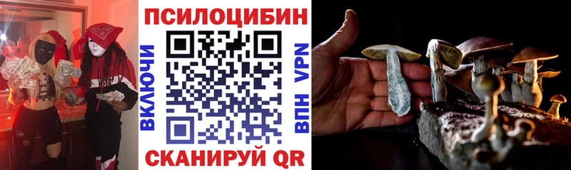 MEGA tor  Карабаш  Галлюциногенные грибы Cubensis 